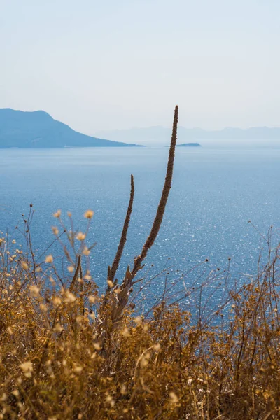 Красивое далматинское побережье, Трстенхач, Далмация, Хорватия, Пелешац — стоковое фото