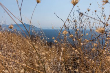 güzel Dalmaçya kıyıları, Trstenik, Dalmaçya, Hırvatistan, Peljesac