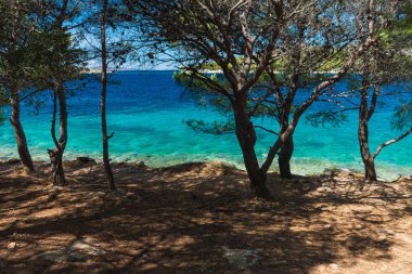 Akdeniz 'de idilik görünümü, Murter, Dalmatia, Hırvatistan