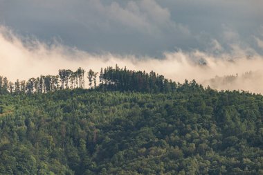 Ağaçlı ve sisli Dağ manzarasının fotoğrafı. Zirvedeyken