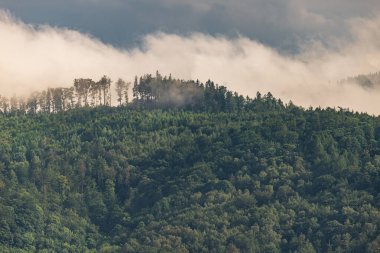 Ağaçlı ve sisli Dağ manzarasının fotoğrafı. Zirvedeyken