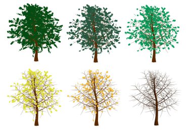 Ağaçları ile yaz kış için ayarlayın. Sararmış yapraklarla sonbahar ağaçlar. Düşen yaprakları ağaçların dizisidir. Vektör çizim.