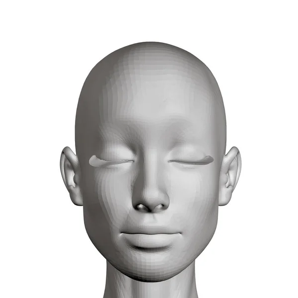Голова Девушки Спокойным Лицом Голова Многоугольной Девушки Закрытыми Глазами Векторная — стоковый вектор