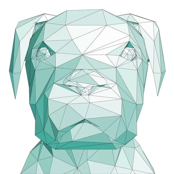 Polygonal Huvud Modell Hund Hund Huvud Wireframe Framifrån Vektor Illustration — Stock vektor