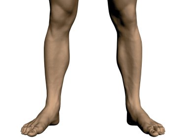 Bir adamın bacaklar. Spor bacaklar erkek. Bir adamın gerçekçi çıplak ayak. Vektör çizim.