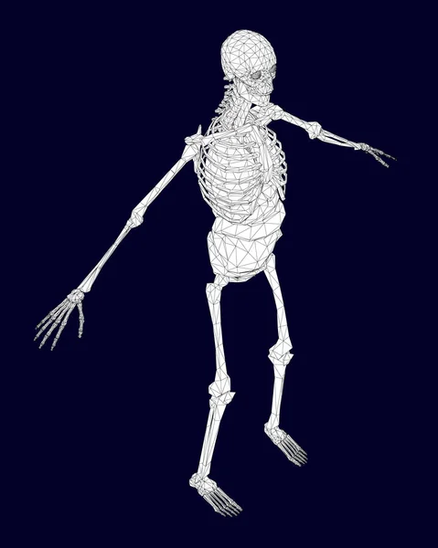 Polygonales Drahtgestell Des Menschlichen Skeletts Mit Inneren Organen Isometrisch Vektorillustration — Stockvektor