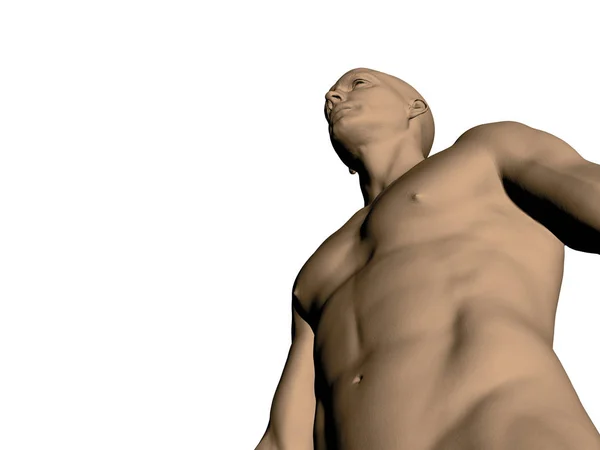 Nackter Männlicher Oberkörper Ansicht Von Unten Realistischer Menschlicher Körper Athletischer — Stockvektor