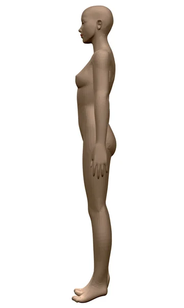 Vector Model Realistic Girl Polygonal Girl Standing Naked Hands Side — Stock Vector