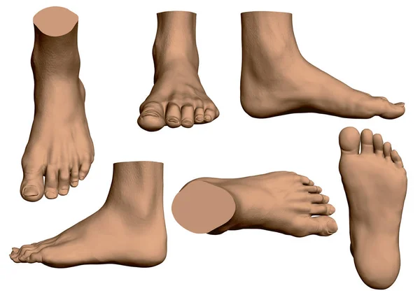 Erkek bacaklar ile ayarlayın. Farklı pozisyonlarda gerçekçi adam bacaklar. Vektör çizim.