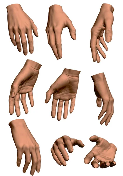 Kadın el ile ayarlayın. Farklı açılarda eller kızlar. Gerçekçi ve detaylı elleri kızın. Vektör çizim.