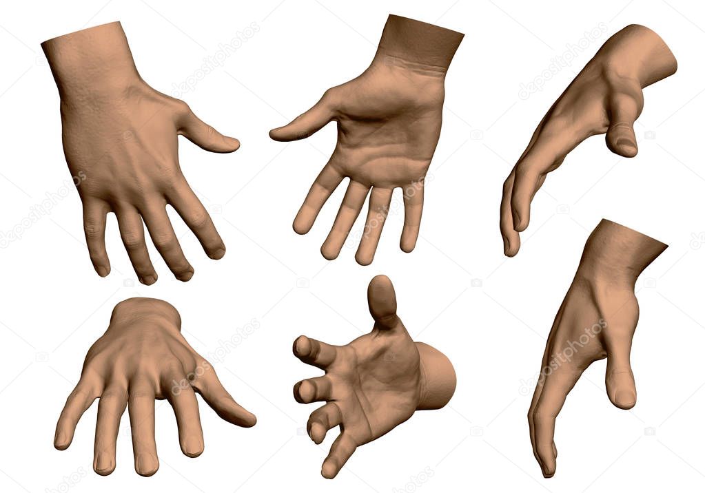 Set with male hands. Realistic male hands in different positions. Vector illustration.