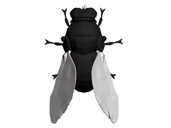 Polygonal Realistic Fly Black Fly White Wings View Vector Illustration — Stock Vector
