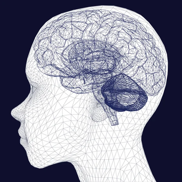 具有脑框架的多边形人头 侧视图 矢量图解 头脑清醒 — 图库矢量图片