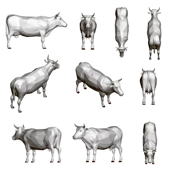 Avec Une Vache Vache Polygonale Différents Angles Grand Ensemble Avec — Image vectorielle