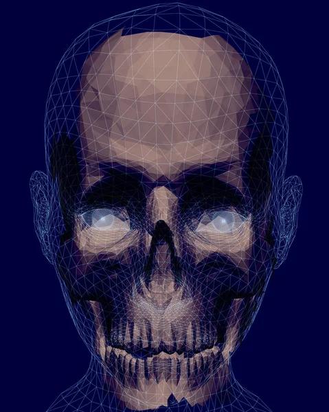 一个有着半透明头骨的人的头 一个有头骨的人的抽象多边形脸 矢量图 — 图库矢量图片