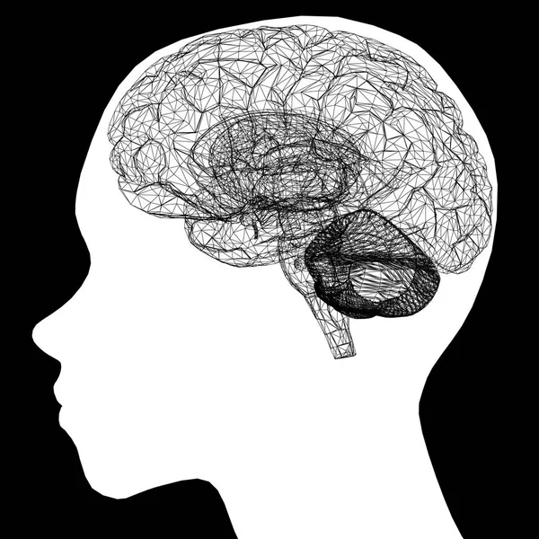 Silhouette Una Testa Uomo Con Wireframe Cerebrale Vista Laterale Illustrazione — Vettoriale Stock