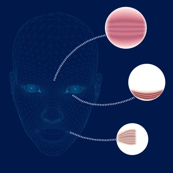 Wireframe van meisje hoofd van blauwe lijnen op een donkere achtergrond. Veelhoekige gezicht van een meisje met pijlen met toenemende schaal van de huid. Uitgebreide rimpels en plooien van vrouwelijke gezicht. 3D. vector illustratie — Stockvector