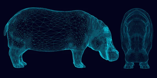 Ensemble avec hippopotame wireframe de lignes bleues sur un fond sombre. Vue latérale et frontale. 3D. Illustration vectorielle — Image vectorielle