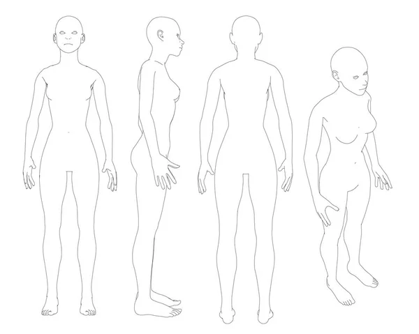 Ingesteld met de contouren van het naakte meisje. Meisje met verschillende soorten zwarte lijnen. Voorkant, achterkant, kant en isometrische weergave. Vectorillustratie — Stockvector