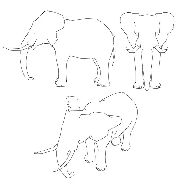 Набор с контуром слона. Спереди, сбоку, изометрический вид. Векторная иллюстрация — стоковый вектор