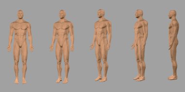 Bir erkek bir çokgen vücut ile ayarlayın. Ön görünüm, yan. 3D. çıplak Çokgen erkek modeli. Vektör Illustration