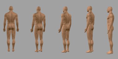 Bir adam bir çokgen gövdeli ayarlayın. Dikiz, yan. 3D. çıplak poligonal erkek model. Vektör çizim