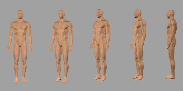 Conjunto con un cuerpo poligonal de un hombre. Vista frontal, lateral. 3D. Modelo masculino poligonal desnudo. Ilustración vectorial — Vector de stock
