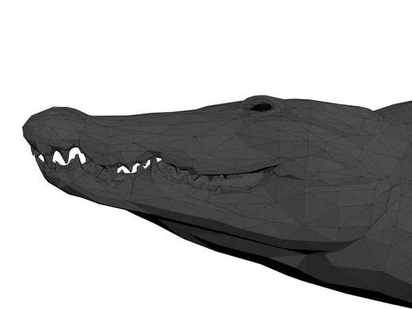 Polygonální Krokodýlí hlavou. 3D izolované Krokodýlí hlavou. Vektorové ilustrace — Stockový vektor