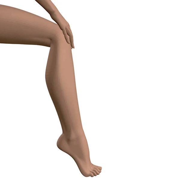 Vecteur fille jambe sur pointe et avec la main sur le genou. Jambe polygonale et main d'une fille isolée sur fond blanc. 3D. Illustration vectorielle — Image vectorielle