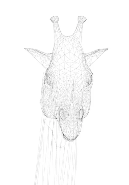 Polygonal giraff huvud. Framifrån. Chef för en giraff från svarta linjer på vit bakgrund. Vektorillustration — Stock vektor