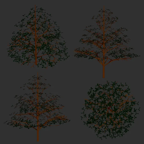 Detaylı ağaçları ile ayarlayın. Yan görünümü ve üst. 3D. vektör çizim — Stok Vektör
