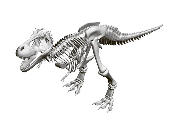 Kostra dinosaura. Izometrický pohled. prostorový obrázek Vector — Stockový vektor