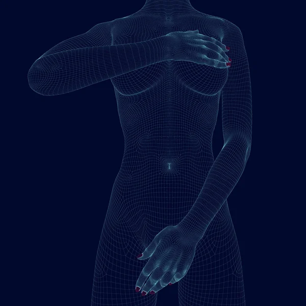 Wireframe of a naked girl, covering her body with her hands. Polygonal girl of blue lines on a dark background. 3D. Vector illustration — Stock Vector