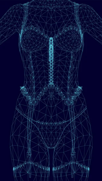 Chicas de Wireframe en ropa interior. Vista frontal. Chica poligonal en un corsé. 3D. Ilustración vectorial — Archivo Imágenes Vectoriales