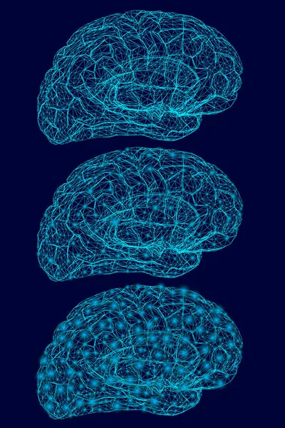 Wireframe do cérebro humano das linhas azuis com luzes brilhantes. Aumentar a luminescência cerebral. Ilustração vetorial —  Vetores de Stock