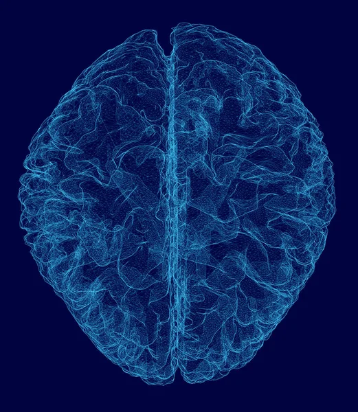 Ilustração vetorial de uma estrutura cerebral humana feita de linhas azuis em um fundo escuro — Vetor de Stock