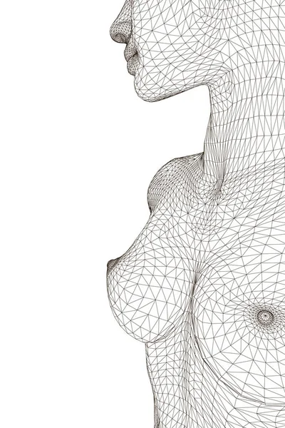 Wireframe de uma menina com um peito de topless. 3D. Ilustração vetorial —  Vetores de Stock