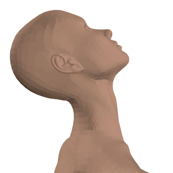 Chica poligonal con la cabeza en alto. Vista lateral. 3D. Ilustración vectorial — Vector de stock