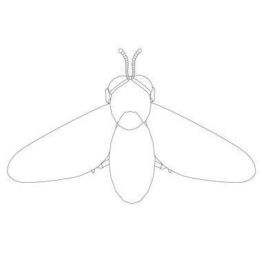 Arı çizgisi. Yukarıdan bak. Arı beyaz arka planda izole edilmiş. Vektör illüstrasyonu