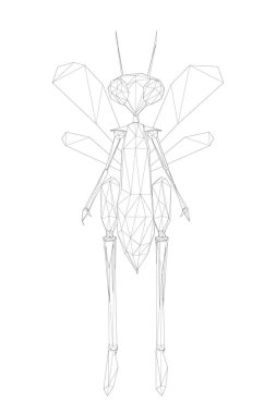 Kablo çerçevesi düşük polioid insansı yusufçuk. Çizgi böceği iki ayak üstünde duruyor. Ön manzara. Vektör illüstrasyonu