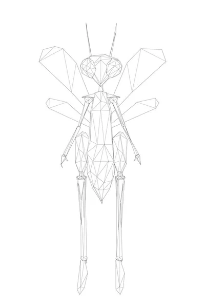Libélula humanoide polivinílica baja de Wireframe. El escarabajo de la línea está sobre dos patas. Vista frontal. Ilustración vectorial — Archivo Imágenes Vectoriales