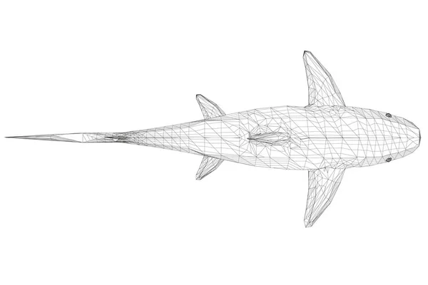 Wireframe Low Poly Blue Shark. 3D. Blick von oben. Vektorillustration — Stockvektor