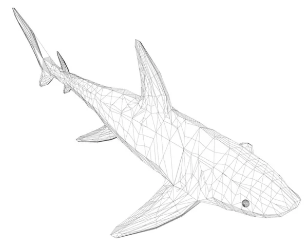 Tiburón azul polivinílico bajo del Wireframe. 3D. Vista isométrica. Ilustración vectorial — Archivo Imágenes Vectoriales