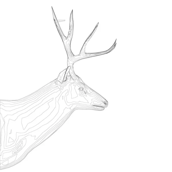 Hirschkopfrahmen mit großem Geweih aus schwarzen Linien auf weißem Hintergrund. Seitenansicht. 3D. Vektorillustration — Stockvektor