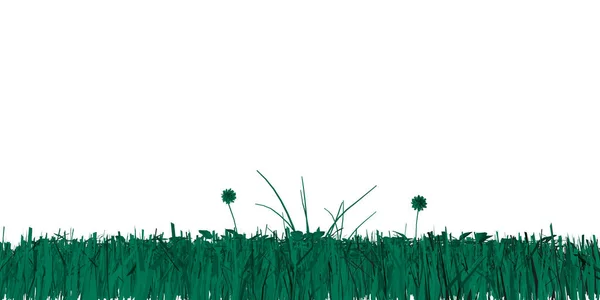 Grama verde isolada sobre fundo branco. Ilustração vetorial — Vetor de Stock