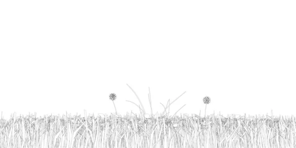 Kontur gräs isolerad på vit bakgrund. Isometrisk vy. Vektorillustration — Stock vektor