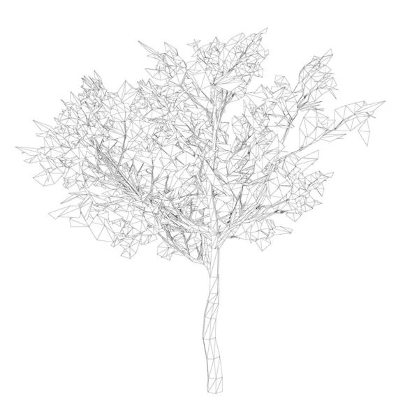 Cadre en fil de bois composé de lignes noires sur fond blanc. Arbre isolé sur fond blanc. 3D. Illustration vectorielle — Image vectorielle