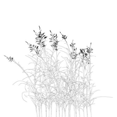 Beyaz arka planda izole edilmiş detaylı çimler. Vektör illüstrasyonu