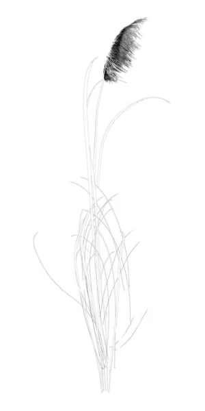 Flor de contorno detallada aislada sobre fondo blanco. 3D. Ilustración vectorial — Vector de stock
