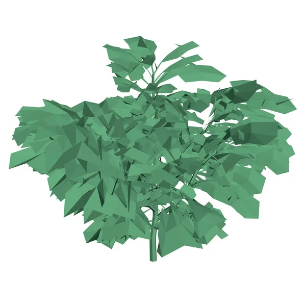 Árbol bajo de color verde polivinílico con muchas hojas aisladas sobre fondo blanco. 3D. Ilustración vectorial — Vector de stock